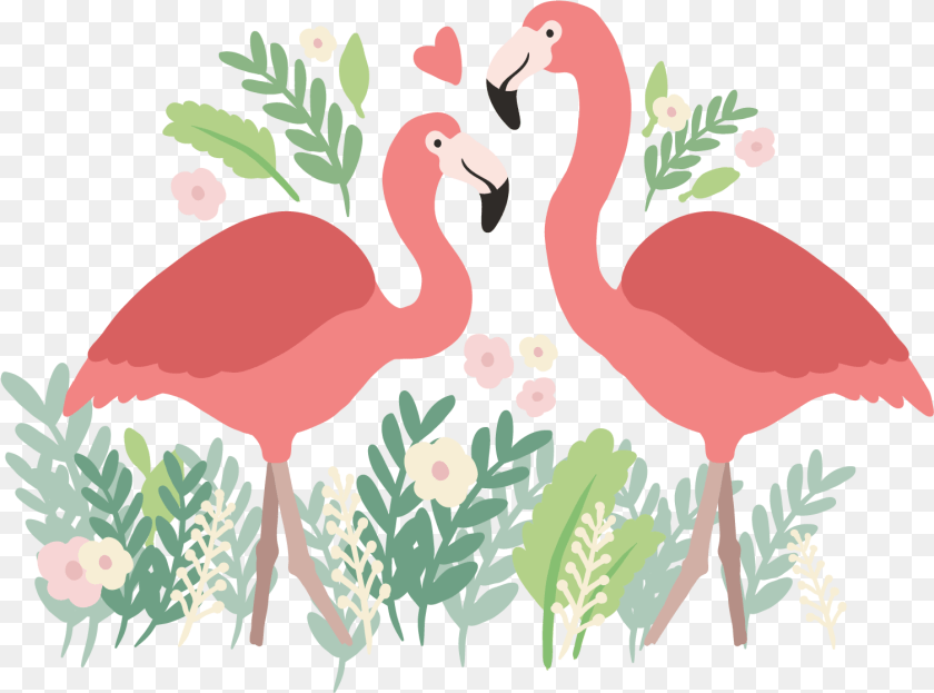 X 1667 2 Background Flamingo, Animal, Bird, Plant Transparent PNG