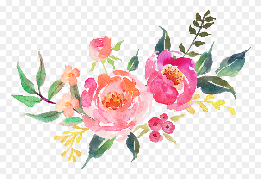 2533x1676 X 1758 108 Free Transparent Watercolor Flower Clipart, Plant, Floral Design, Pattern HD PNG Download