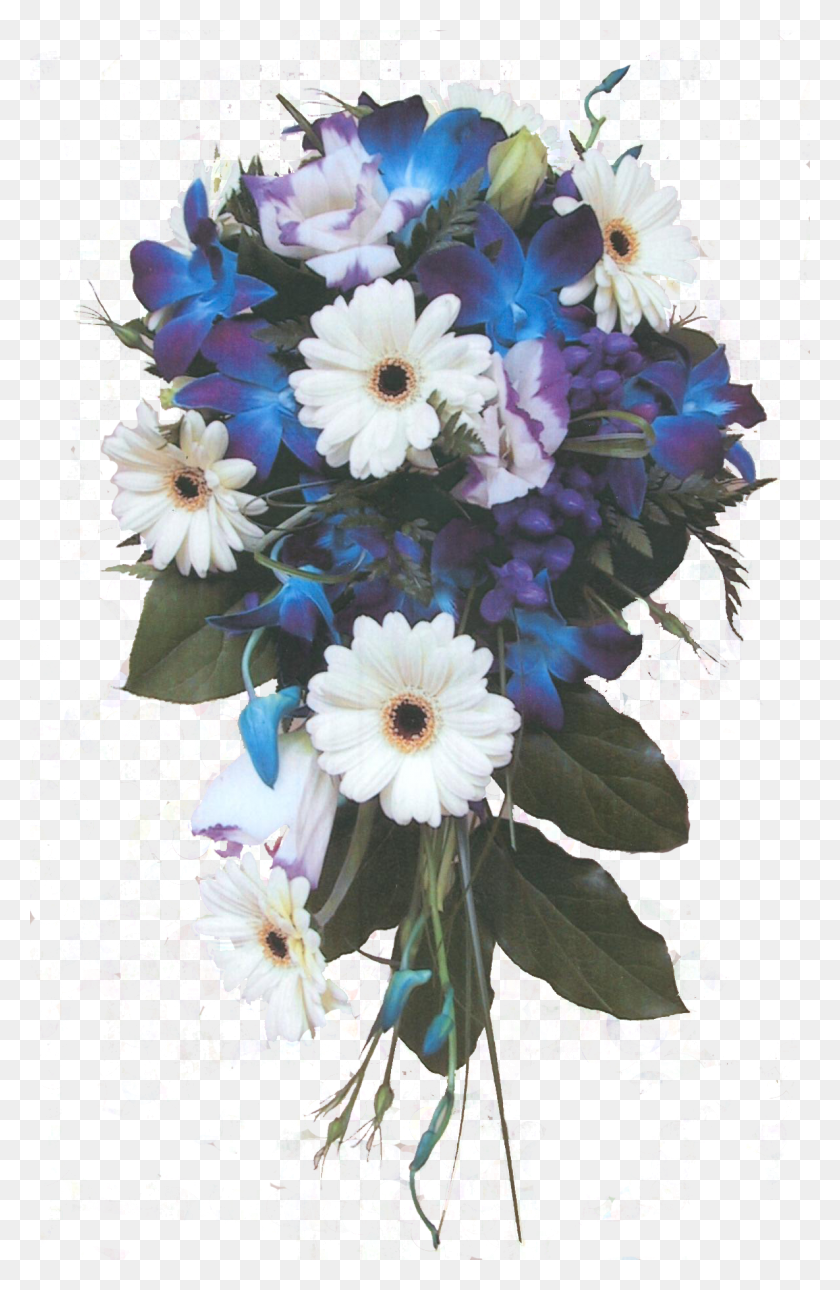 1184x1868 X 1868 13 Blue Flowers Bouquet, Graphics, Plant HD PNG Download