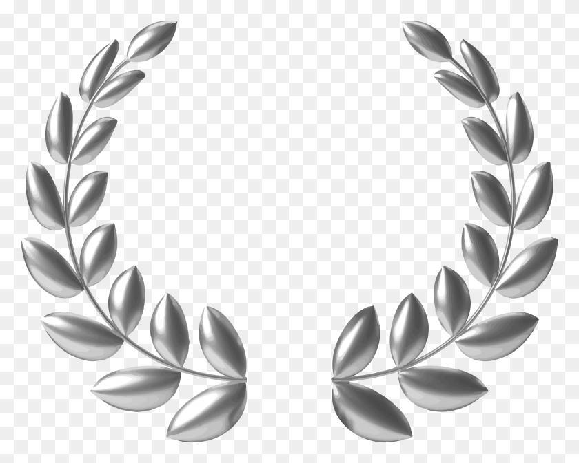 2377x1869 X 1869 10 Gold Wreath Vector, Plant, Stencil, Flower HD PNG Download