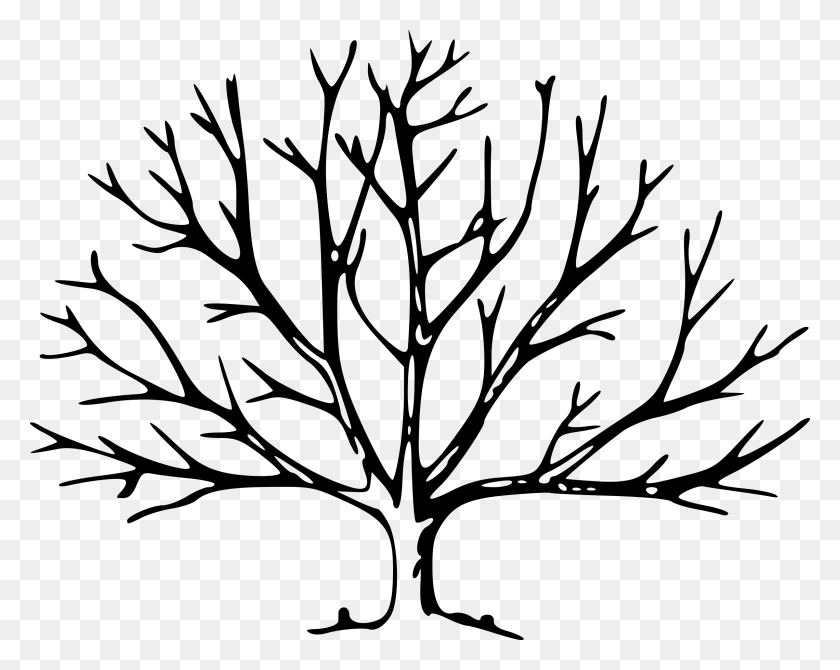 X 1877 11 Tree Drawing With Branches, Gray, World Of Warcraft HD PNG Download