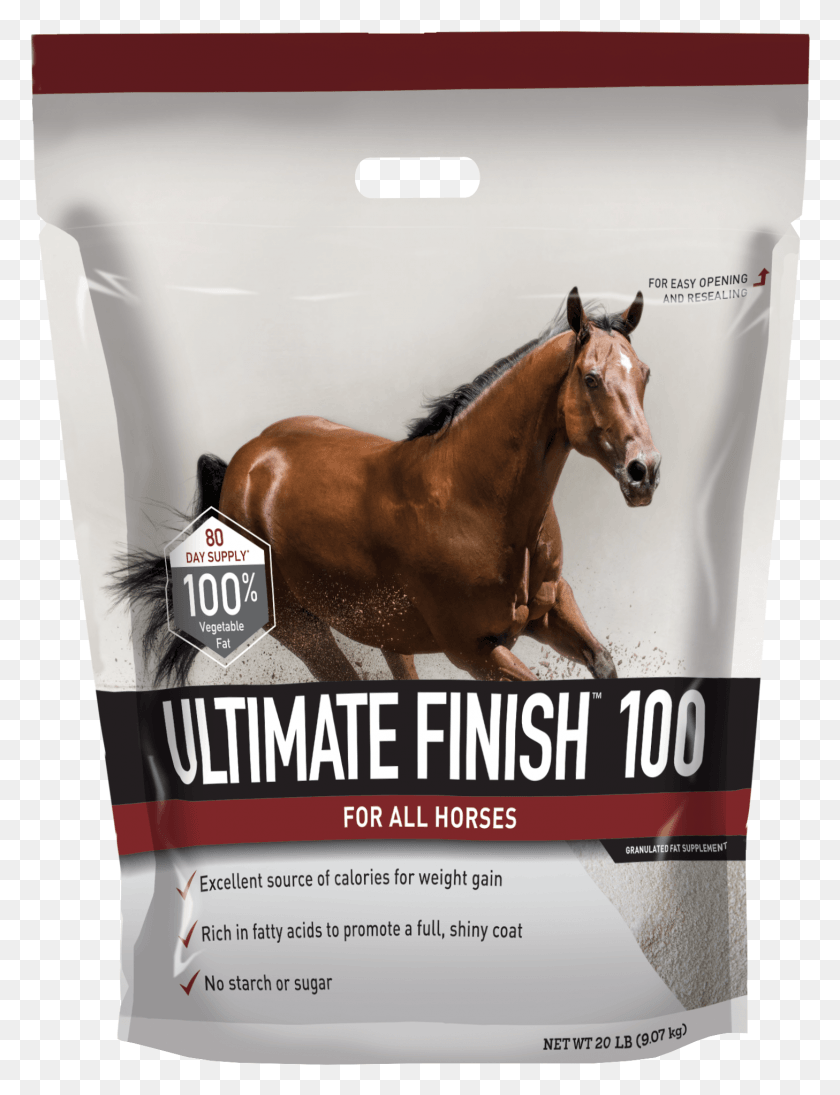 1457x1935 X 2028 3 Buckeye Ultimate Finish 100 Fat Supplement, Advertisement, Horse, Mammal HD PNG Download