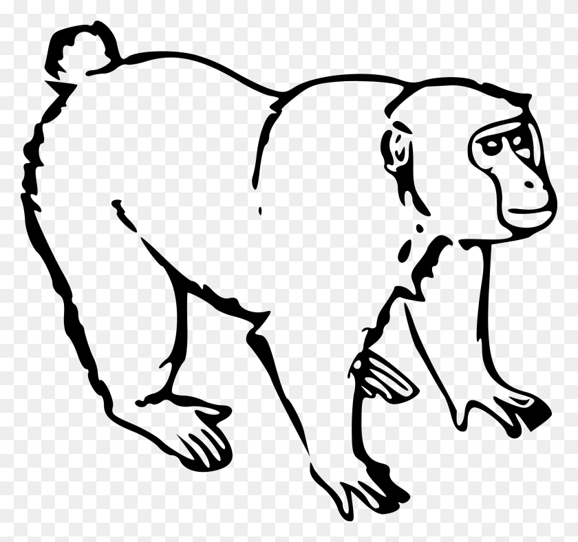 2400x2243 X 2243 6 Monkey Clipart Blanco Y Negro, Gris, World Of Warcraft Hd Png