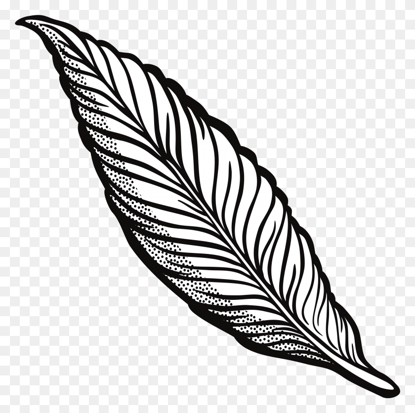 2331x2320 X 2400 4 Clip Art Feather, Leaf, Plant, Banana HD PNG Download