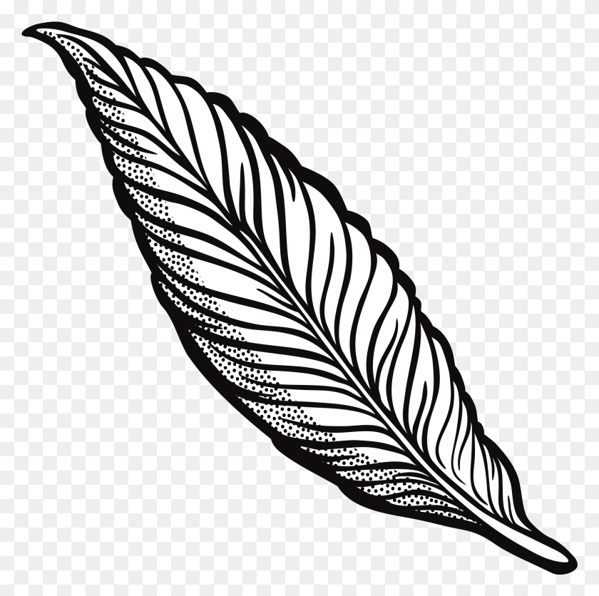 2331x2320 Descargar Png / X 2400 4 Clip Art Pluma, Hoja, Planta, Plátano Hd Png