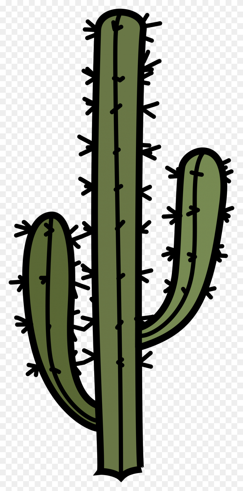 1145x2400 X 2400 6 Tall Cactus Clip Art, Plant, Shower Faucet, Bamboo HD PNG Download