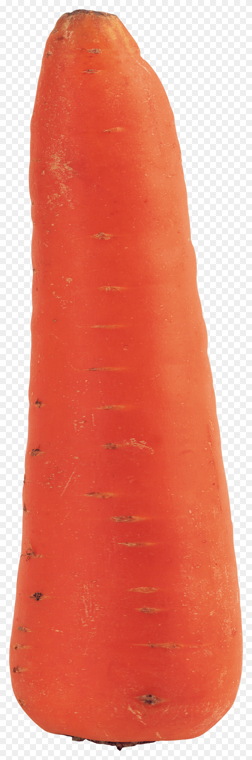 925x2933 X 2933 2 1 Carrot, Ketchup, Food, Clothing HD PNG Download