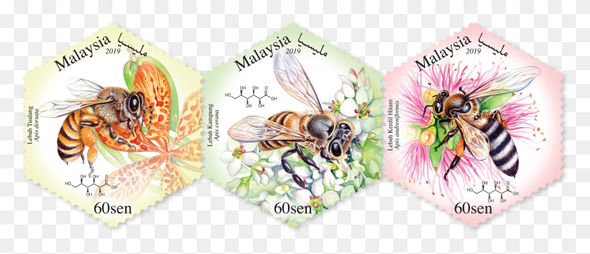 2204x855 X 3 Designs Honeybee, Honey Bee, Bee, Insect HD PNG Download