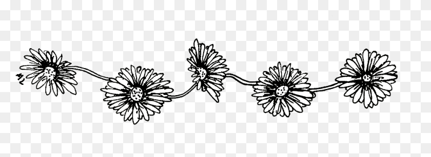 1045x331 X 346 16 Black And White Daisy Chain, Plant, Flower, Blossom Descargar Hd Png