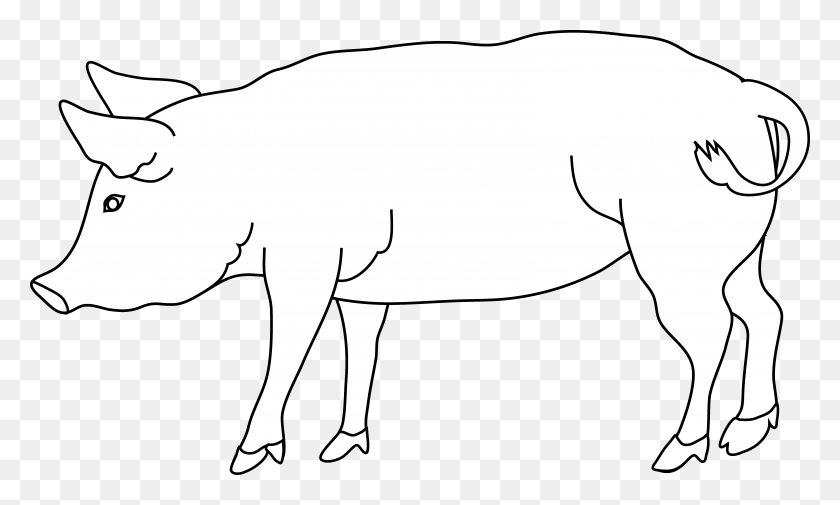 6363x3636 X 3636 4 White Pig Clip Art, Mammal, Animal HD PNG Download