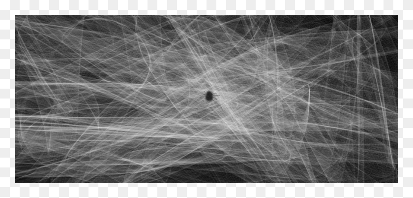 900x395 X 395 21 Spider Web Texture, Gray, X-ray, Ct Scan HD PNG Download