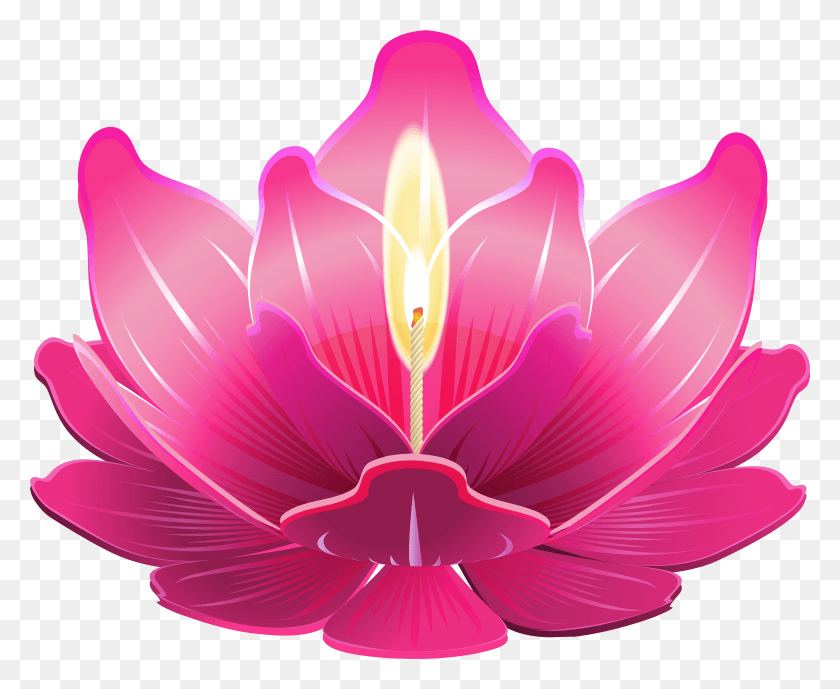 4949x3991 X 4032 7 Lotus Candle, Petal, Flower, Plant HD PNG Download