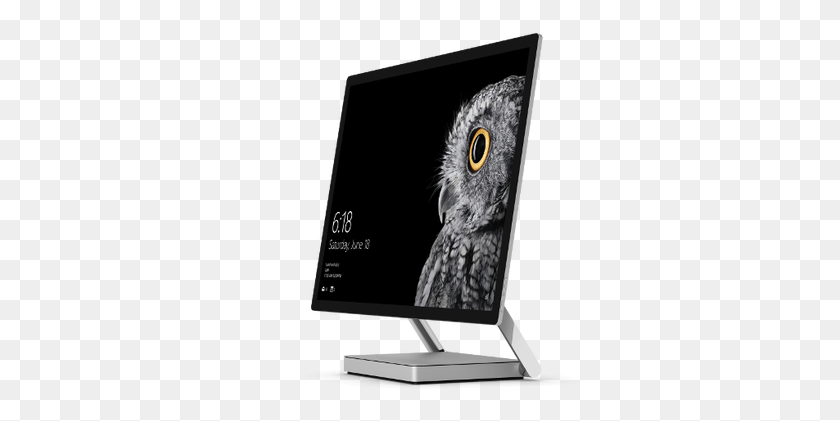 769x361 X 416 11 Microsoft Surface Studio I7 32 Гб, Сова, Птица, Животное Png Скачать