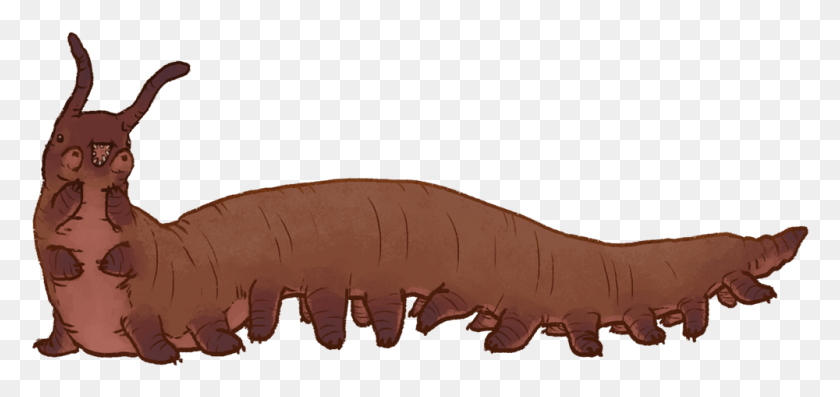 1000x433 X 433 4 Onychophora, Animal, Mammal, Soil HD PNG Download