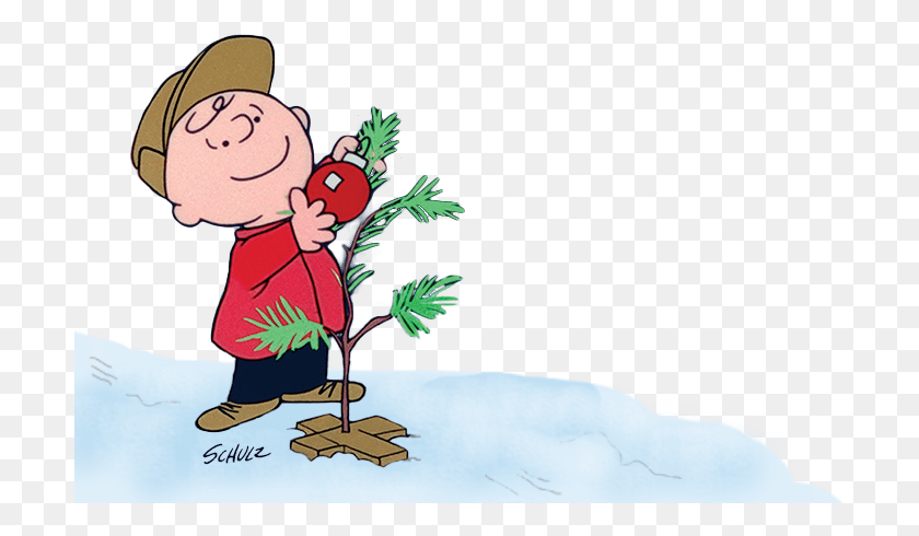 706x430 X 434 30 0 Charlie Brown Christmas, Person, Human, Plant HD PNG Download