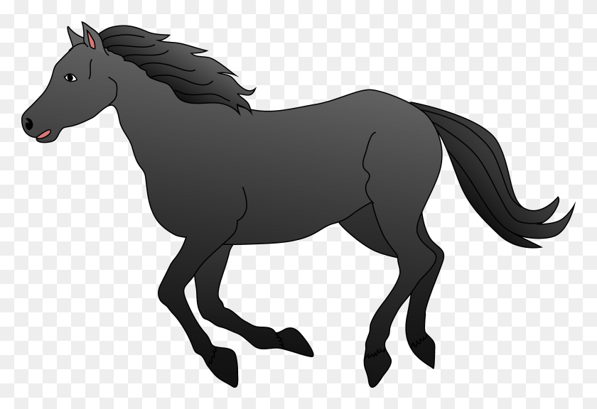 6680x4427 X 4427 6 0 Clipart, Horse, Mammal, Animal HD PNG Download