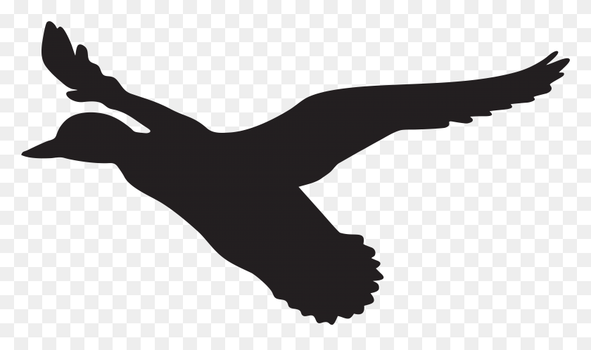 7920x4451 X 4502 6 Flying Duck Silhouette, Arm, Hand HD PNG Download