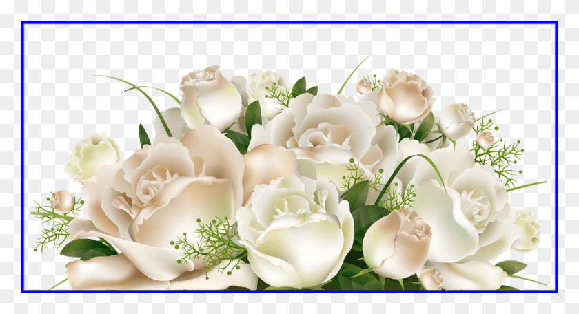 907x461 X 461 10 Белых Роз На Прозрачном Фоне, Растение, Цветок, Цветение Hd Png Скачать