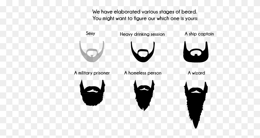 543x388 X 480 18 Stages Of Beard Growth Funny, Gray HD PNG Download