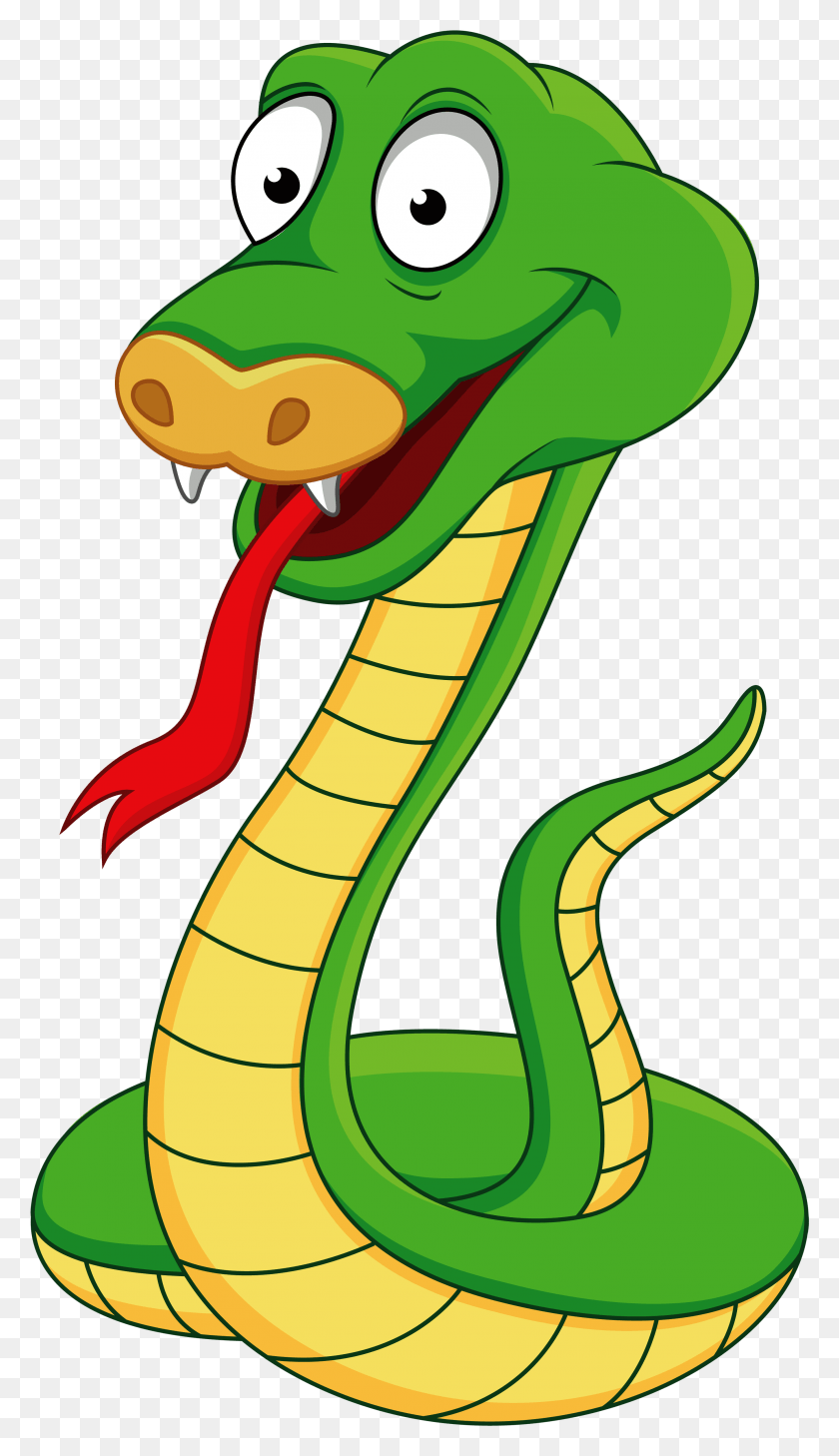 2698x4836 X 5000 19 Serpiente De Dibujos Animados, Reptil, Animal, Cobra Hd Png