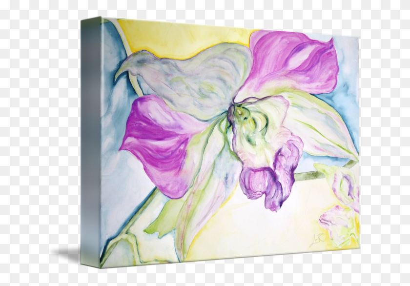 650x526 X 526 12 0 Cattleya, Canvas, Floral Design HD PNG Download