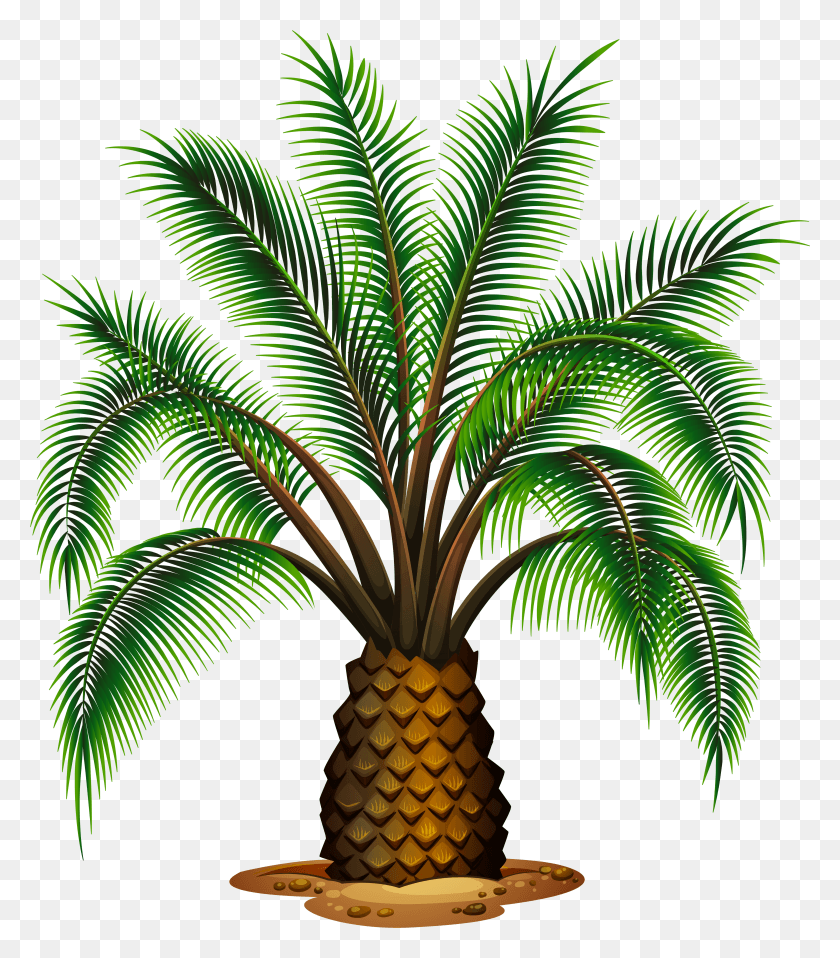 4329x4984 X 5329 14 Palm Oil Production In Malaysia 2017, Plant, Pineapple, Fruit HD PNG Download