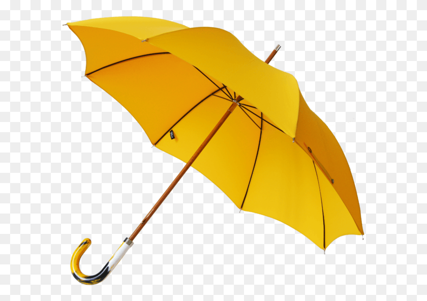 598x532 X 549 2 Umbrella, Canopy, Tent HD PNG Download