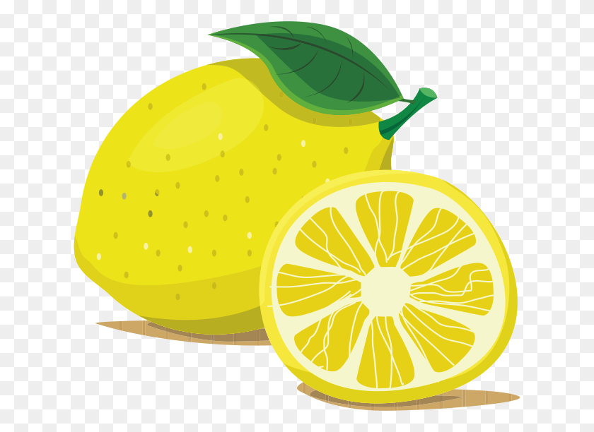 632x552 X 552 18 Cartoon Picture Of Lemon, Plant, Citrus Fruit, Fruit HD PNG Download