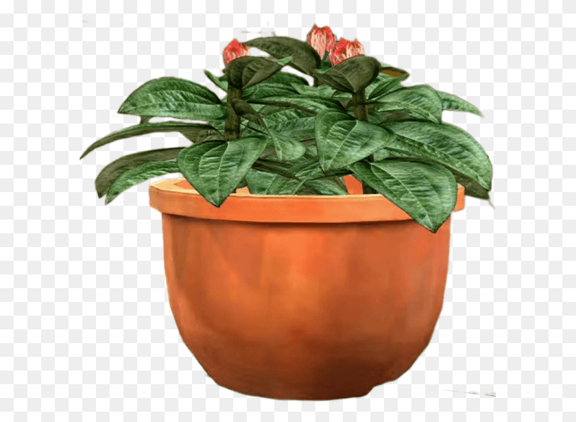 607x555 X 555 4 Potted Plants Transparent, Plant, Flower, Blossom HD PNG Download