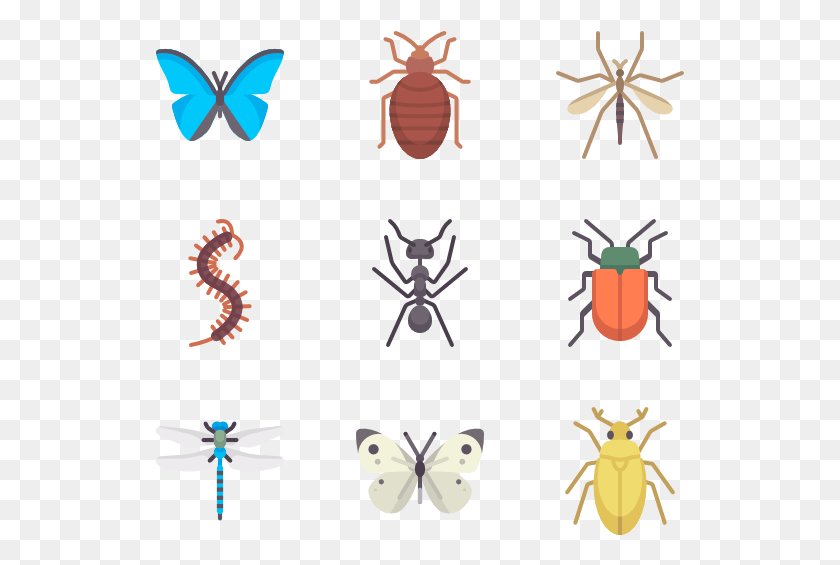 529x505 X 564 9 Beetle, Insect, Invertebrate, Animal HD PNG Download