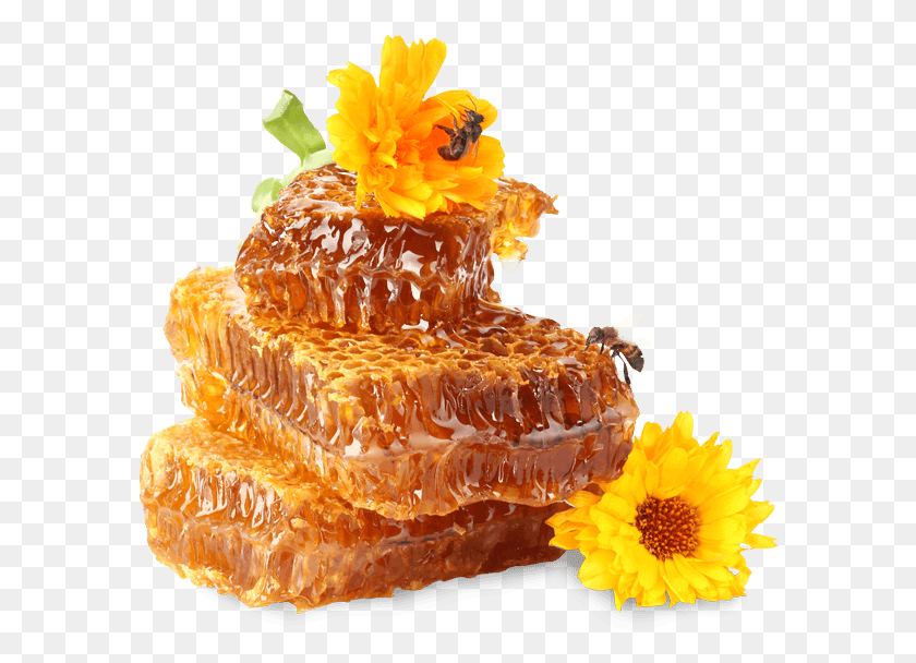 588x548 X 574 30 Мед И Пчела, Еда, Свадебный Торт, Торт Png Скачать
