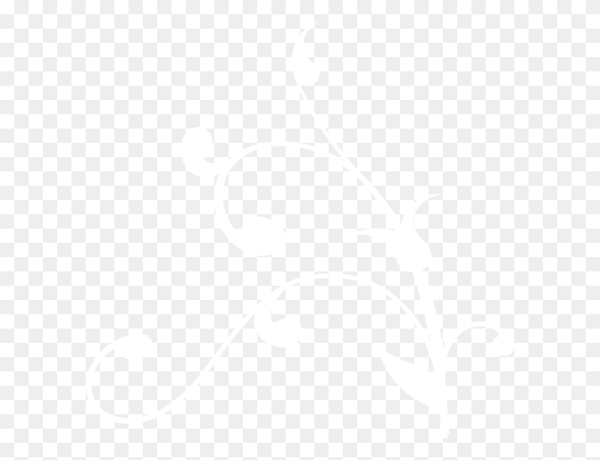 600x584 X 584 15 Johns Hopkins Logo White, Texture, White Board, Text HD PNG Download