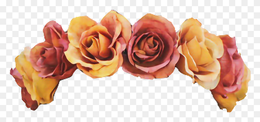 1376x592 X 592 27 Цветок Корона Вырезанный, Роза, Растение, Цветение Hd Png Скачать