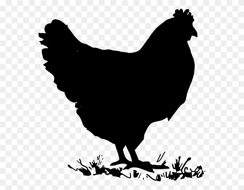 576x596 X 596 9 0 Silhouette Chicken Clip Art, Hen, Poultry, Fowl HD PNG Download