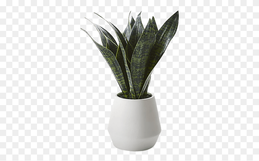 327x461 X 600 1 Flowerpot, Plant, Leaf, Aloe HD PNG Download