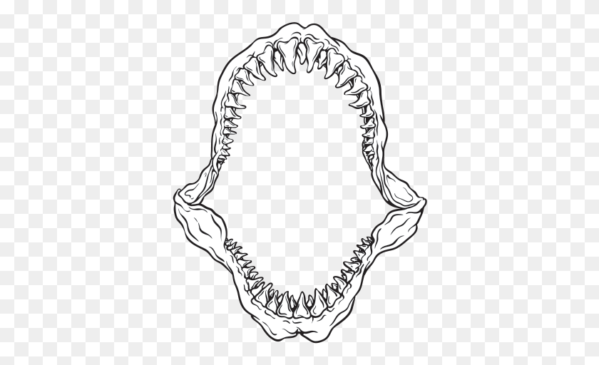 358x452 X 600 13 Great White Shark Jaw Drawing, Label, Text, Tattoo HD PNG Download