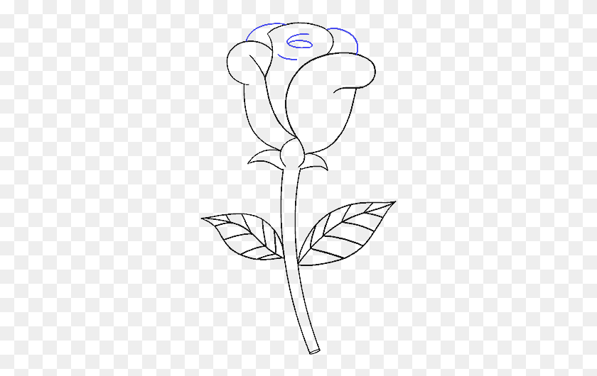 277x470 X 600 3 Simple Rose Drawing, Gray, World Of Warcraft HD PNG Download