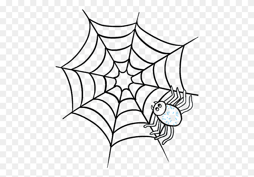 473x525 X 600 5 Easy Drawn Spider Web Hd Png Скачать