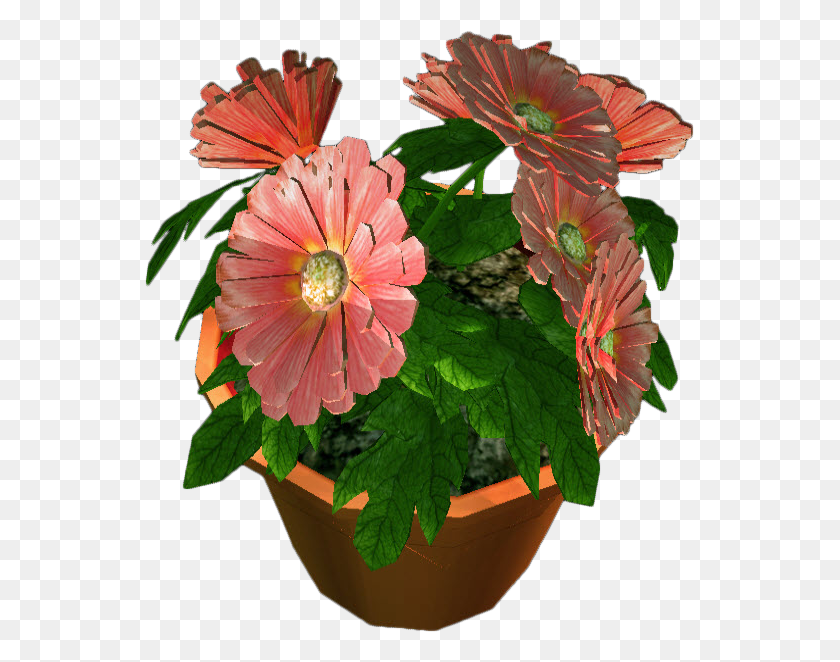 549x602 X 602 4 Format Flower Tob, Plant, Flower Arrangement, Potted Plant HD PNG Download