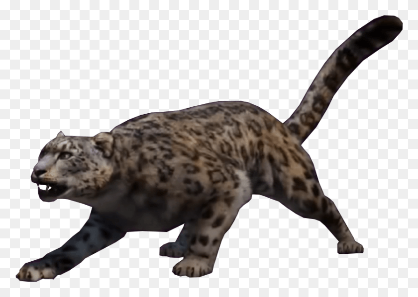 835x576 X 620 5 Leopard Far Cry, Animal, Panther, Wildlife HD PNG Download