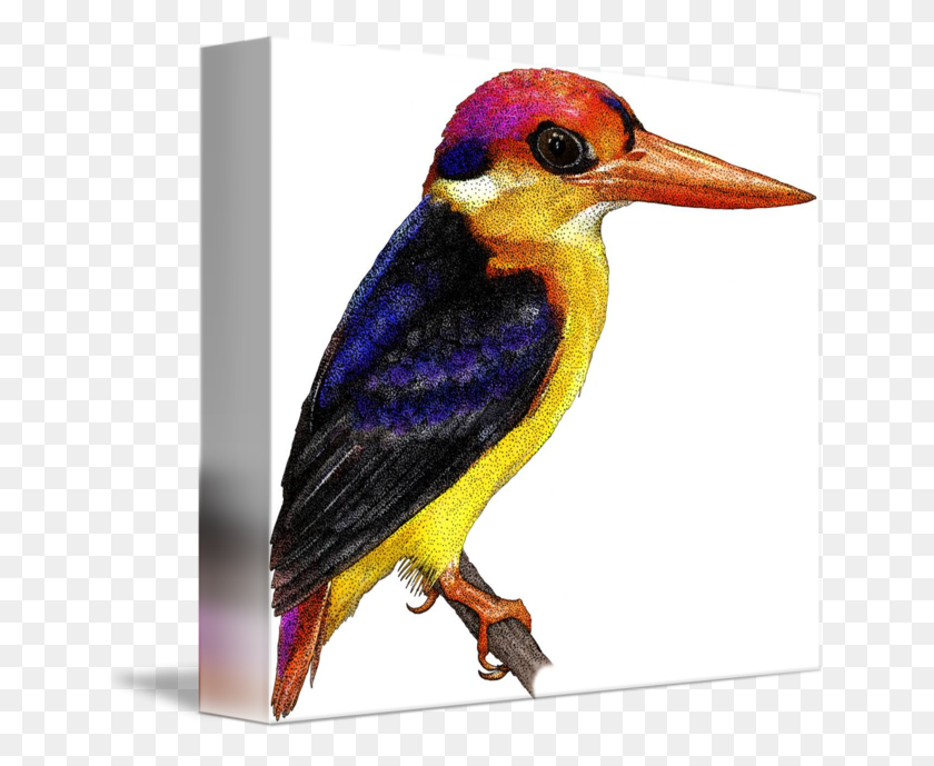 650x629 X 629 3 Coraciiformes, Bird, Animal, Bluebird HD PNG Download