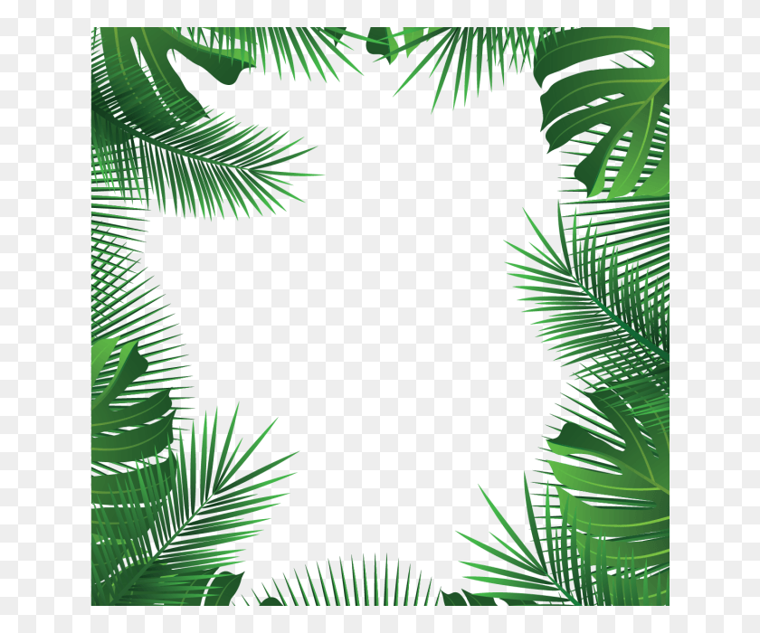640x640 X 640 19 Beach Leaves, Vegetation, Plant, Rainforest HD PNG Download