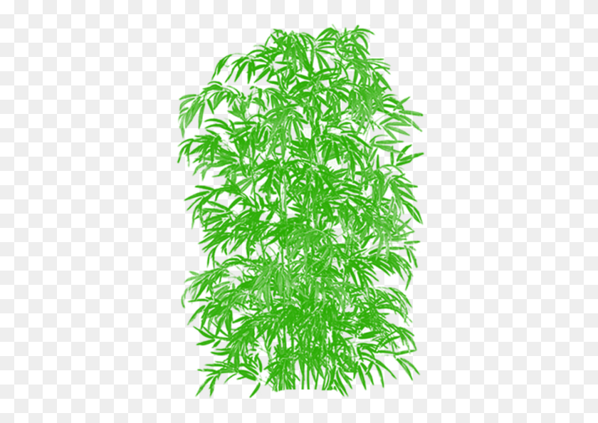 354x534 X 640 6 Мультфильм Бамбук, Лист, Растение, Зеленый Hd Png Скачать