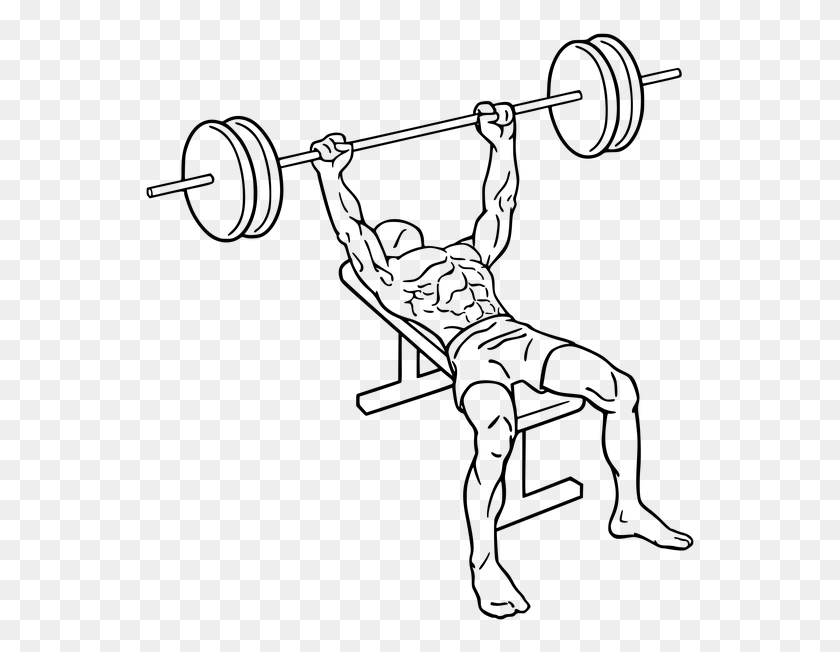 553x592 X 645 8 Dumbbell Bench Press Diagram, Gray, World Of Warcraft HD PNG Download