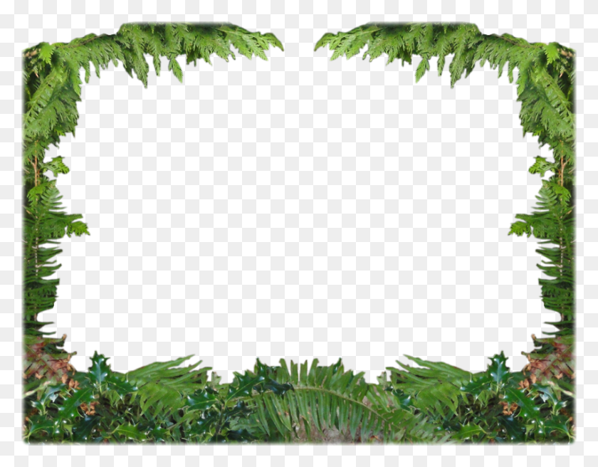 850x650 X 650 8 Forest Frame, Green, Plant, Vegetation HD PNG Download