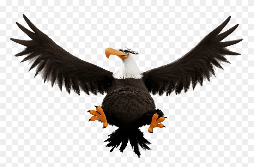 986x623 X 651 9 Guila Poderosa De Angry Birds, Eagle, Bird, Animal HD PNG Download