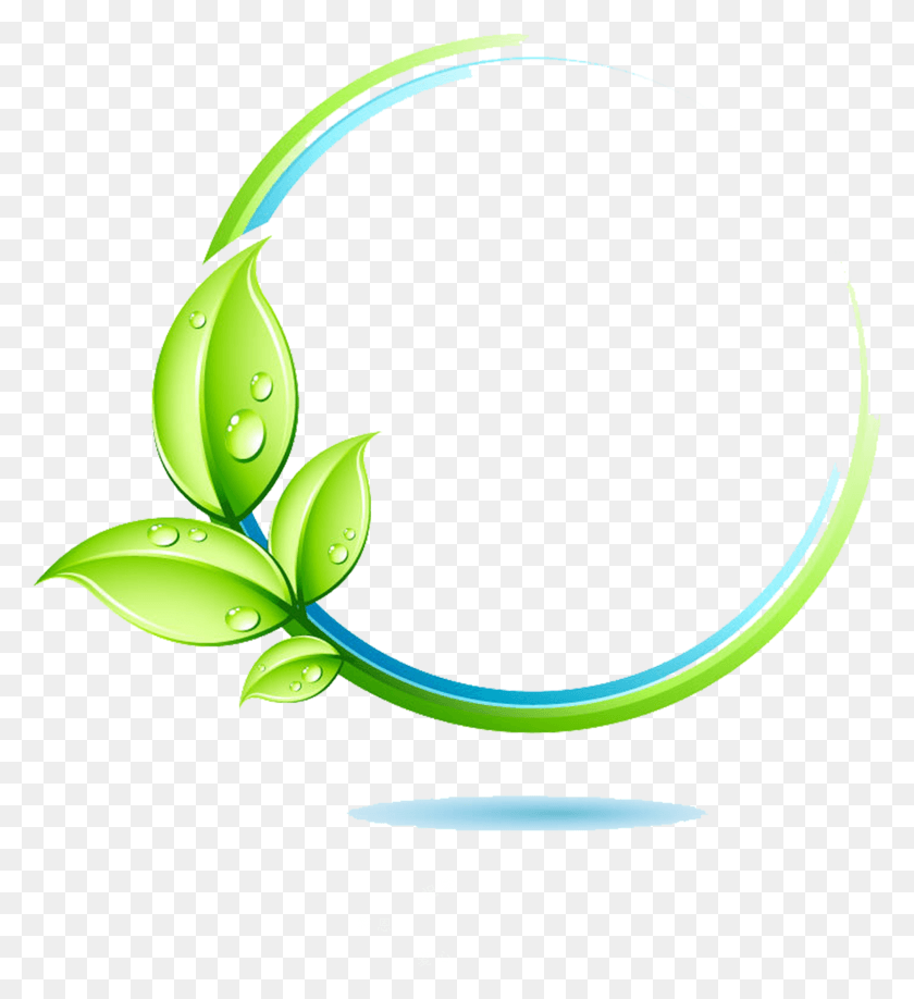 4657x5128 X 6614 21 Free Logo Green Leaf HD PNG Download