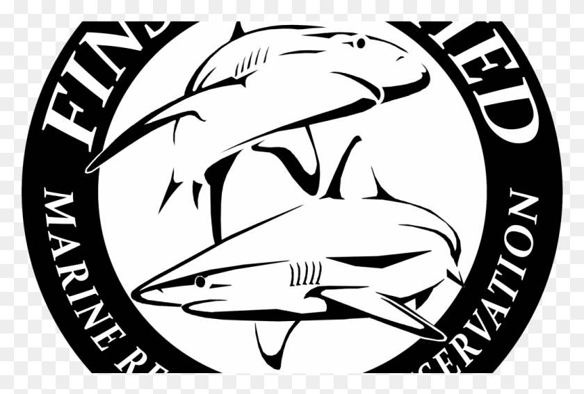 1039x676 X 675 6 0 Fins Attached Logo, Animal, Stencil, Fish HD PNG Download
