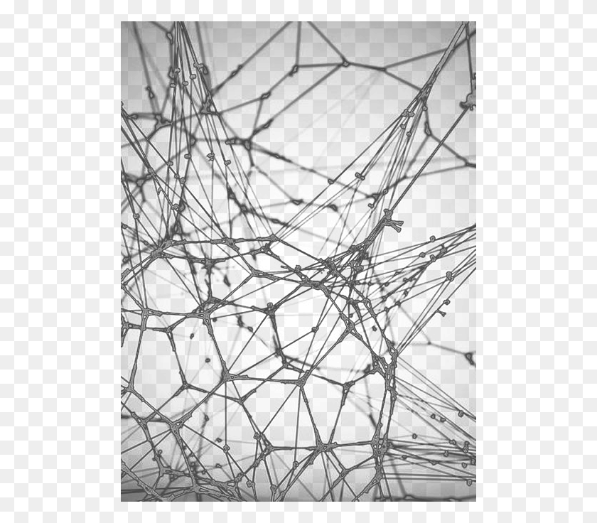 500x676 X 676 3 Geometrical Designs Black And White, Spider Web HD PNG Download