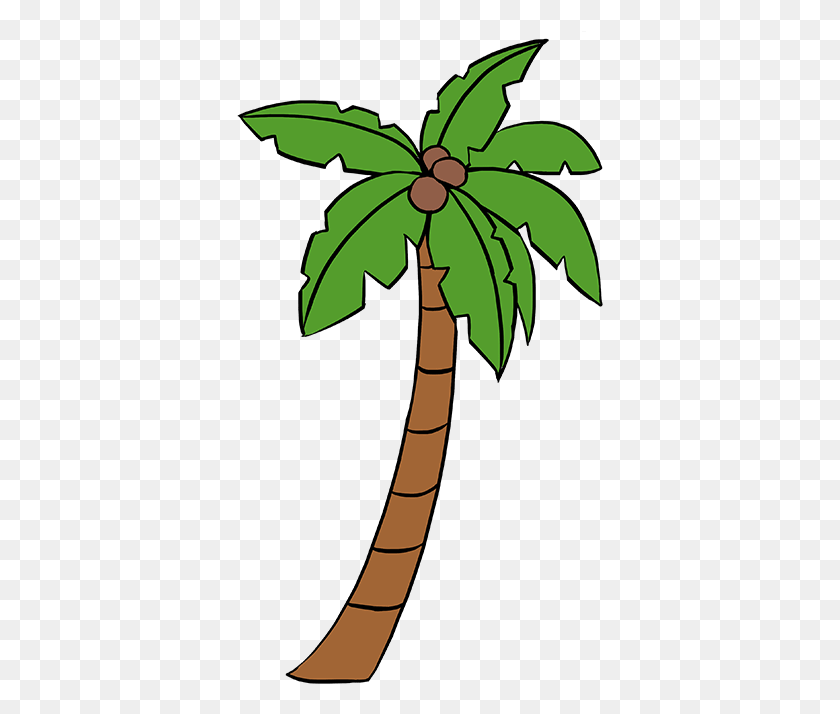 367x654 X 678 3 Draw Good Palm Trees, Plant, Leaf, Tree HD PNG Download